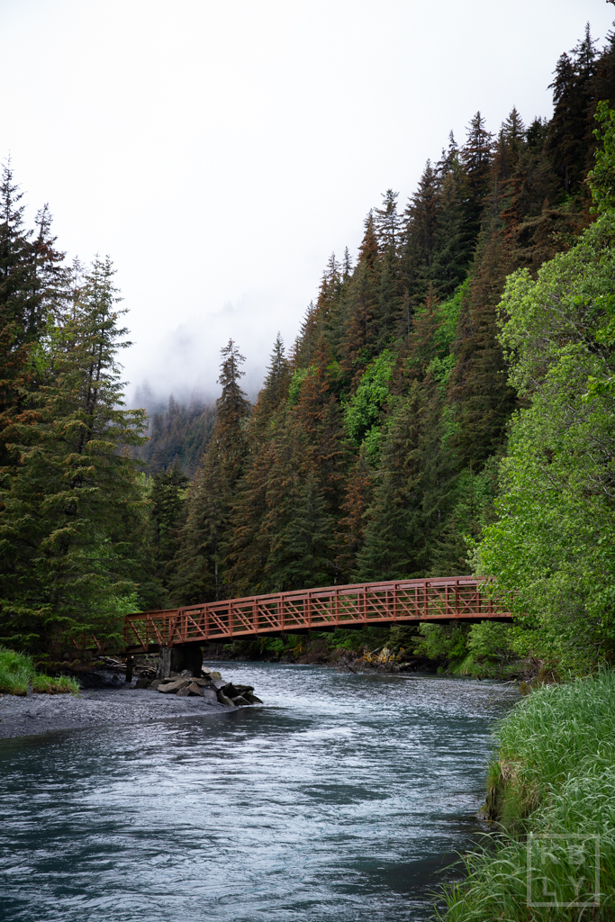 Seward Kayaking